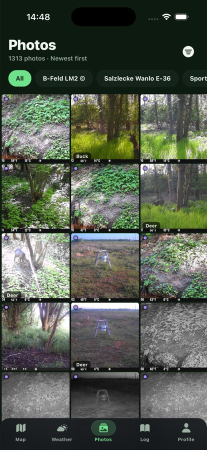 Photos tab with 1313 captures from all trail cameras, English filter tabs